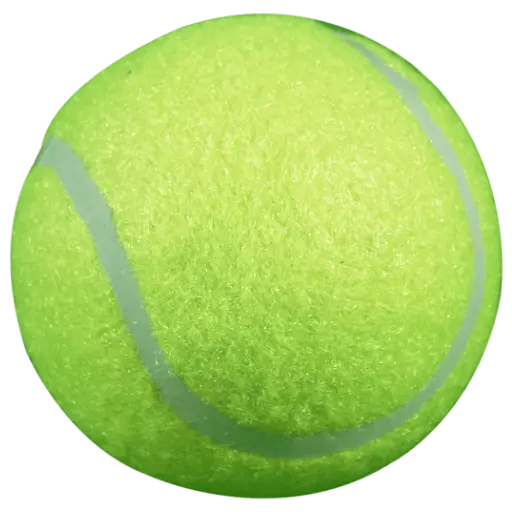 Tenis